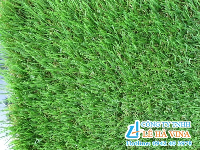 Thảm cỏ nhựa sân vườn giá 219k